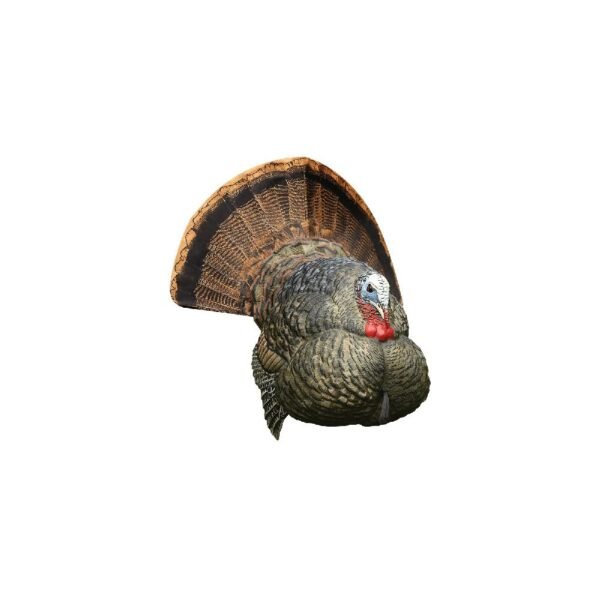 https3A2F2Fmedia.chattanoogashooting.com2Fimages2Fproduct2FAVAVXAVX80042FAVAVXAVX80042.jpg Avian-X LCD Strutter Turkey Decoy