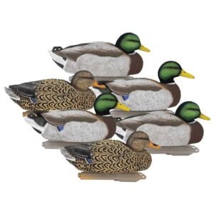 https3A2F2Fmedia.chattanoogashooting.com2Fimages2Fproduct2FHG170012FHG17001-1.jpg Higdon Legacy Magnum Mallard 6/ct