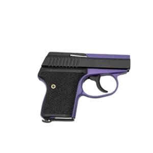 https3A2F2Fmedia.chattanoogashooting.com2Fimages2Fproduct2FSKLWS380BRPURW2FSKLWS380BRPURW.jpg Seecamp LWS-380 Handgun 380 Auto 6rd Magazine 2" Barrel DAO Bright Purple Frame Black Grip
