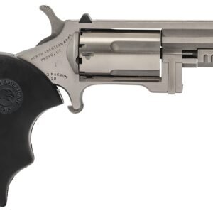 naareclusee2c9.jpg NORTH AMERICAN ARMS RECLUSE 22MAG 2" SS XS