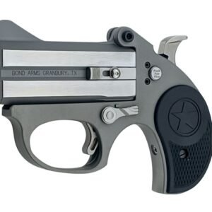 stinger22bba4.jpg BOND ARMS STINGER 22LR SS 3" FS