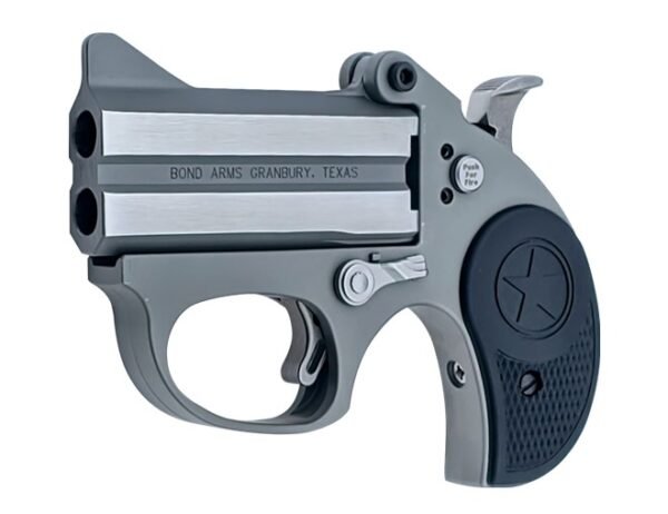 stingerrs0fd0-1.jpg BOND ARMS STINGER 380ACP SS 3" FS