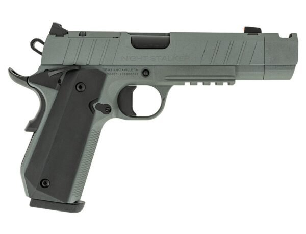 ti10100134f913.jpg TISAS NIGHT STALKER COMP 10MM GRY #