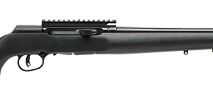 sv47223.png SAVAGE ARMS A17 PRO VARMINT 17HMR WD 22"