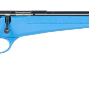 062654138126-1.jpg SAVAGE ARMS RASCAL 22LR F-SR BLUE TB