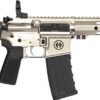 HIPOINT PISTOL HP-15 300 AAC - 10.5" 30RD BLADE BRACE SILVER