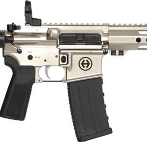 GHP15P556SLV.jpg HIPOINT PISTOL HP-15 5.56 - 10.5" 30RD BLADE BRACE SILVER