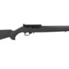RUG32024_2.jpg RUG 10/22 22LR HB TB BLK HOGUE