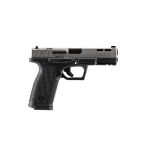 https3A2F2Fmedia.chattanoogashooting.com2Fimages2Fproduct2FEWBP9FSDTOR2FEWBP9FSMOR-R.jpg Bersa BP9FS Handgun 9mm Luger 17rd Magazine(2) 4.25" Barrel Duotone Optics Ready