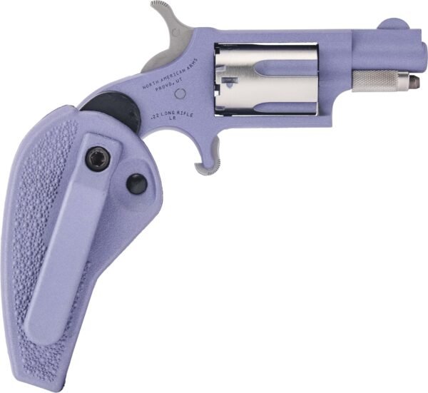 naa-22lr-oc-hg.jpg NAM MINI-REV 22LR 1.125SS OCHG