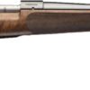 G535248289_1.jpg WINCHESTER MODEL 70 SUPER - GRADE 6.5CM 22" CLARO AAA