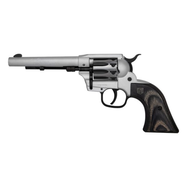 db0580a501b670.jpg DIAMONDBACK FIREARMS SIDEKICK 22LR/22M SILVER 5.5"