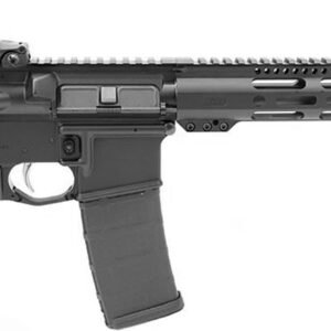 dp51655109560.jpg DPM DR15 MOE 5.56 30R 16B MLOK